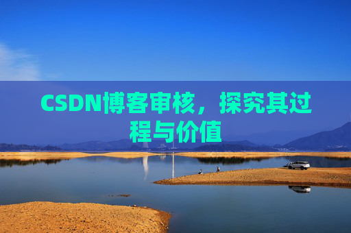 CSDN博客审核，探究其过程与价值